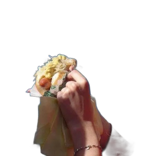 food, jewelry, flower, face, watercolor, oil painting, photorealistic, concept art transparent PNG cut-out