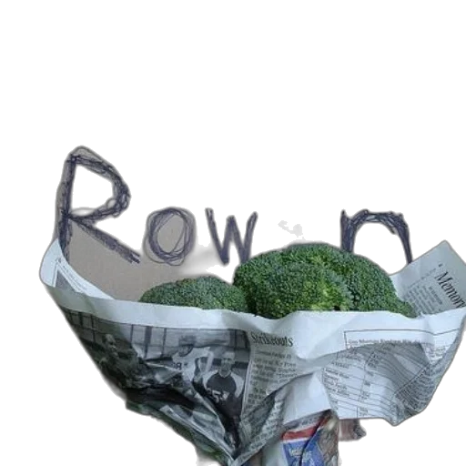 crown, food, flower, hat, photorealistic, 3d render, cardboard, sign transparent PNG cut-out