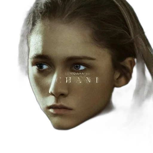 face, mask, hair, crown, photorealistic, concept art, fantasy art, pixel art transparent PNG cut-out