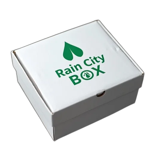jewelry, 3d render, white, cardboard, box, green, logo, featuring transparent PNG cut-out
