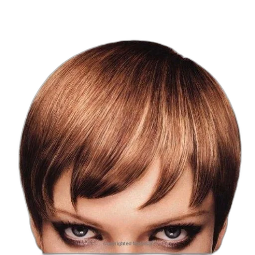 hair, face, hat, crown, photorealistic, earth tones, mane, thing transparent PNG cut-out