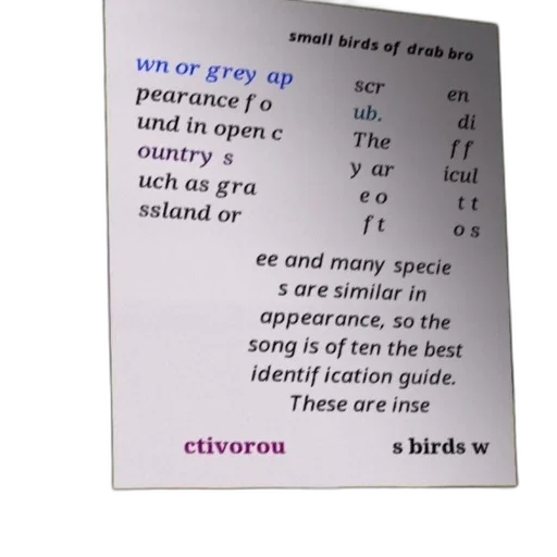 jewelry, text-based, image, discussing, small, birds, drab, brown transparent PNG cut-out
