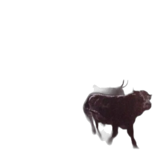 animal, creature, dragon, hair, 3d render, concept art, photorealistic, fog transparent PNG cut-out