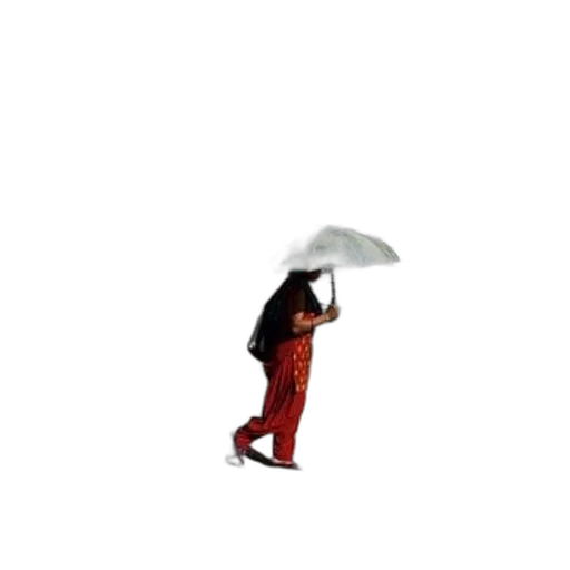 umbrella, jacket, hat, staff, 3d render, concept art, pixel art, photorealistic transparent PNG cut-out