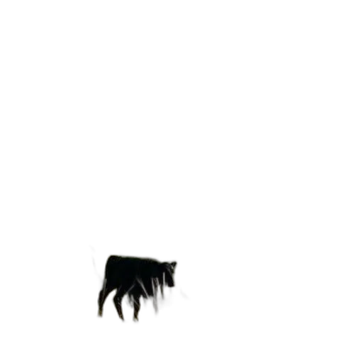 hair, animal, creature, furniture transparent PNG cut-out