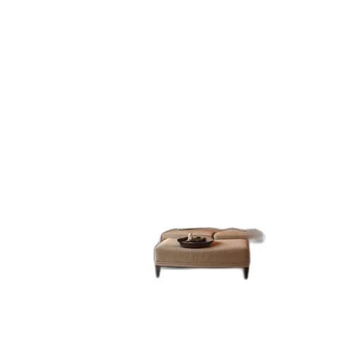 furniture, shoes, hair, animal, 3d render, photorealistic, concept art, pixel art transparent PNG cut-out