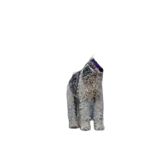 jacket, dress, animal, jewelry, 3d render, photorealistic, pixel art, concept art transparent PNG cut-out
