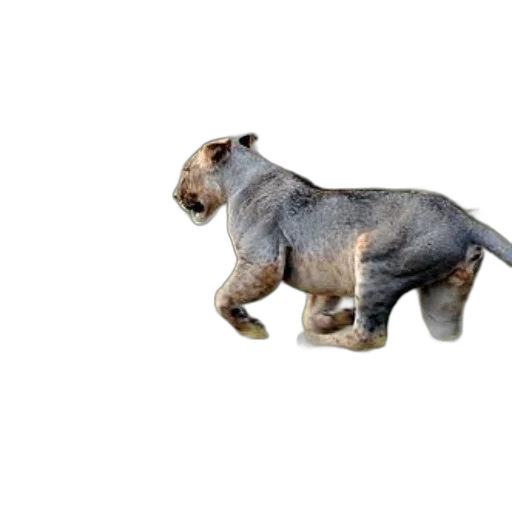 animal, creature, hair, staff, 3d render, photorealistic, concept art, pixel art transparent PNG cut-out