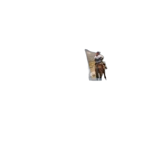 animal, hat, staff, furniture transparent PNG cut-out