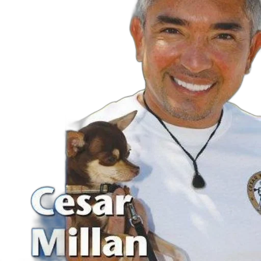 staff, animal, photorealistic, promotional, image, cesar, millan, featuring transparent PNG cut-out