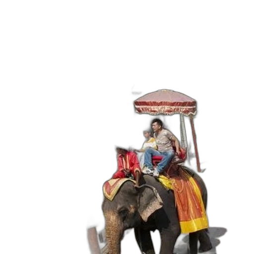 animal, 3d render, concept art, photorealistic, couple, rides, elephant, thailand transparent PNG cut-out
