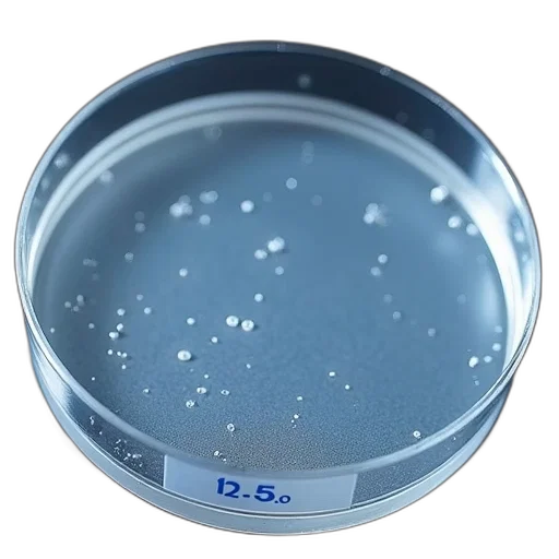 crown, blue, petri, dish, clear, smooth, surface, few transparent PNG cut-out