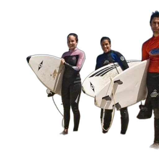 underwater, four, surfers, wetsuits, stand, beach, holding, their transparent PNG cut-out