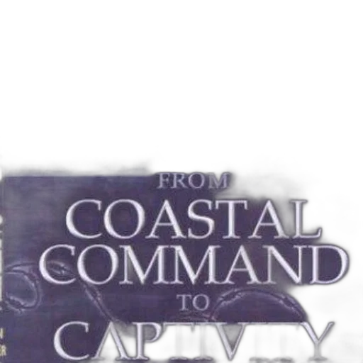 jacket, weapon, vaporwave, concept art, book, cover, title, coastal transparent PNG cut-out