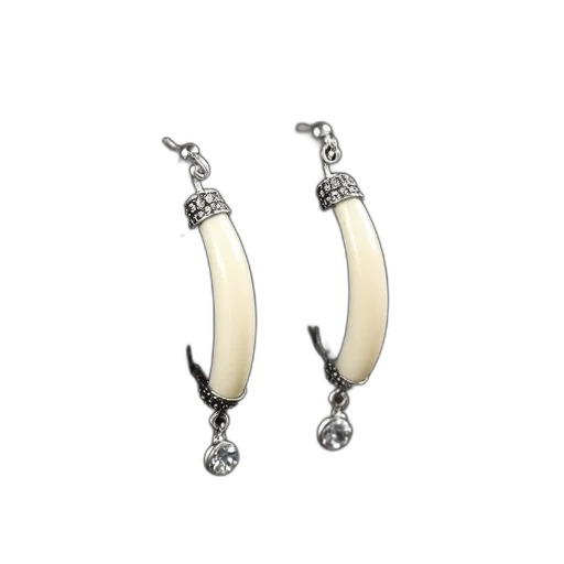 jewelry, pair, silver, earrings, white, tusk, design, small transparent PNG cut-out