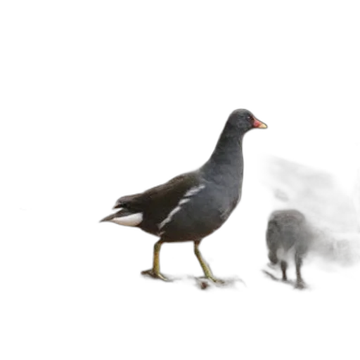 animal, creature, food, concept art, photorealistic, 3d render, fog, snow transparent PNG cut-out