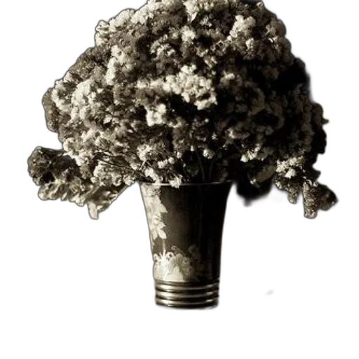 flower, tree, crown, umbrella, 3d render, photorealistic, concept art, pixel art transparent PNG cut-out