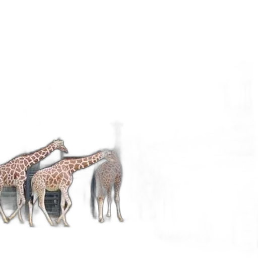 animal, creature, dragon, shoes, concept art, 3d render, photorealistic, watercolor transparent PNG cut-out
