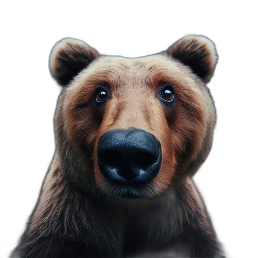 animal, face, creature, staff, photorealistic, 3d render, oil painting, concept art transparent PNG cut-out