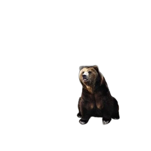 animal, creature, staff, face, pixel art, 3d render, concept art, photorealistic transparent PNG cut-out
