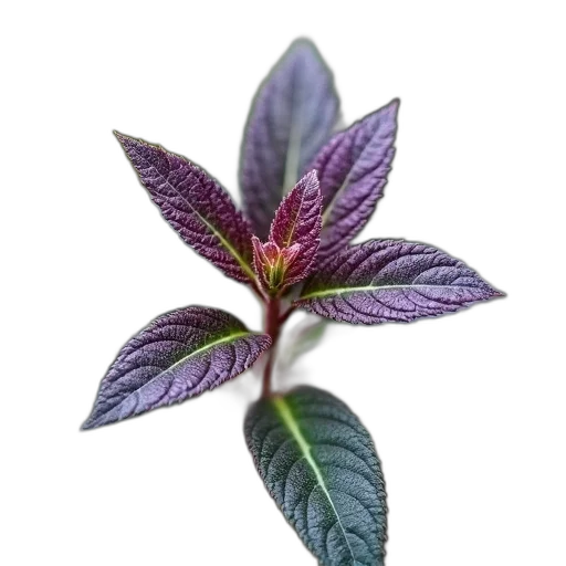 flower, staff, crown, food, photorealistic, 3d render, oil painting, dark transparent PNG cut-out