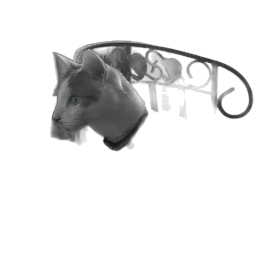 animal, mask, staff, jewelry transparent PNG cut-out