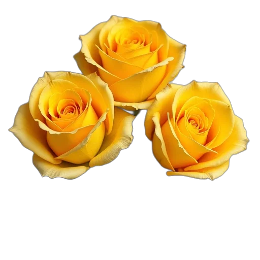 flower, crown, jewelry, 3d render transparent PNG cut-out