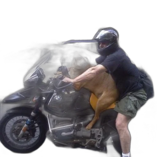 animal, creature, jacket, car, photorealistic, concept art, cyberpunk, 3d render transparent PNG cut-out