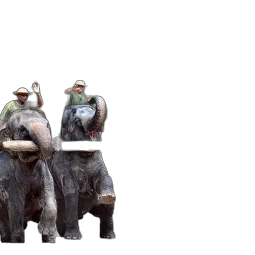 animal, concept art, 3d render, three, elephants, carrying, logs, trainers transparent PNG cut-out