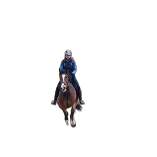 animal, jacket, hat, creature, pixel art, concept art, two, horseback transparent PNG cut-out
