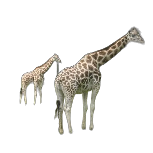 animal, creature, jewelry, staff, 3d render, concept art, photorealistic, pixel art transparent PNG cut-out