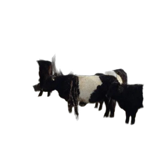 animal, creature, staff, jewelry, 3d render, pixel art, concept art, four transparent PNG cut-out