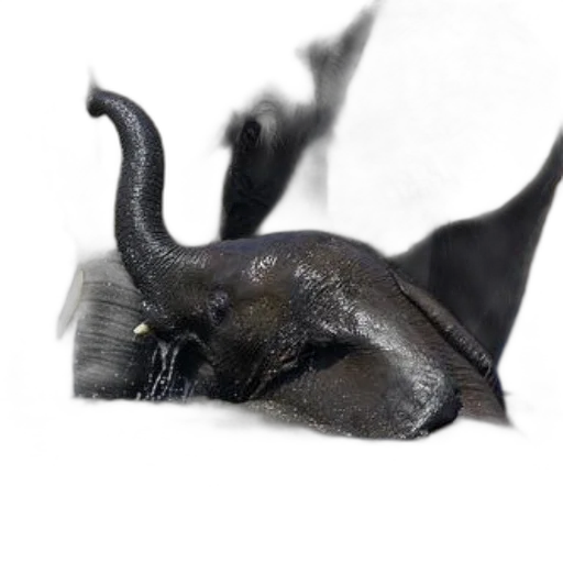 animal, creature, dragon, mask, photorealistic, 3d render, majestic, elephant transparent PNG cut-out