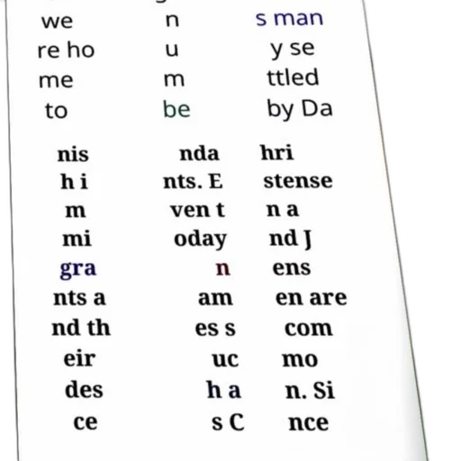 poster, text, danish, discussing, history, immigrants, their, descendants transparent PNG cut-out