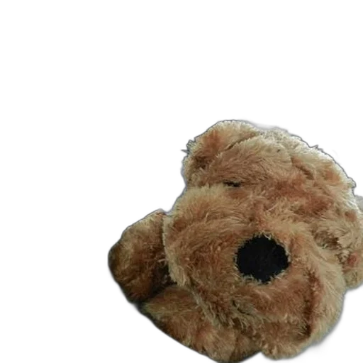 staff, hat, face, animal, 3d render, photorealistic, child, sleeps transparent PNG cut-out