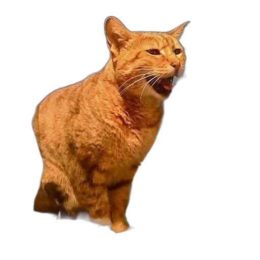 animal, creature, staff, face, photorealistic, 3d render, pixel art, concept art transparent PNG cut-out