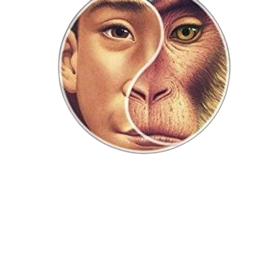 face, mask, animal, creature, photorealistic, concept art, 3d render, comic book art transparent PNG cut-out