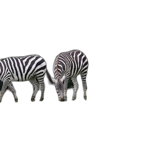 animal, furniture, creature, shoes, 3d render, photorealistic, concept art, monochrome transparent PNG cut-out