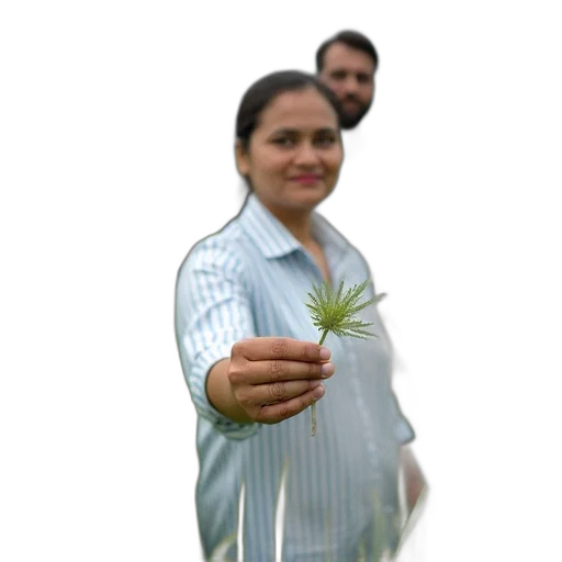 staff, flower, weapon, food, 3d render, photorealistic, forest, group transparent PNG cut-out