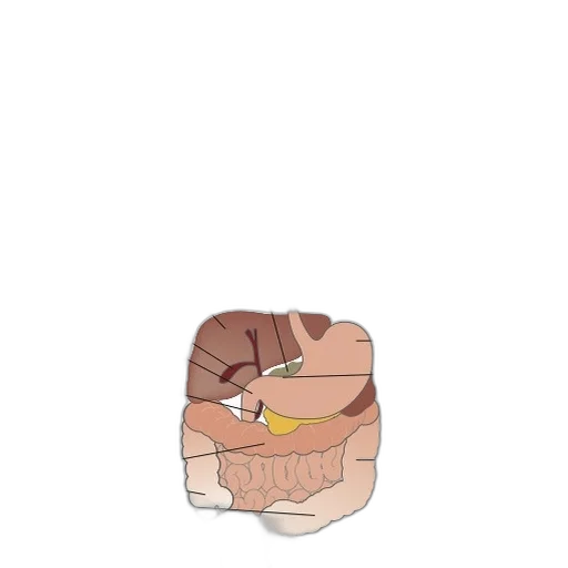 face, food, jewelry, jacket, pixel art, concept art, 3d render, cartoon transparent PNG cut-out