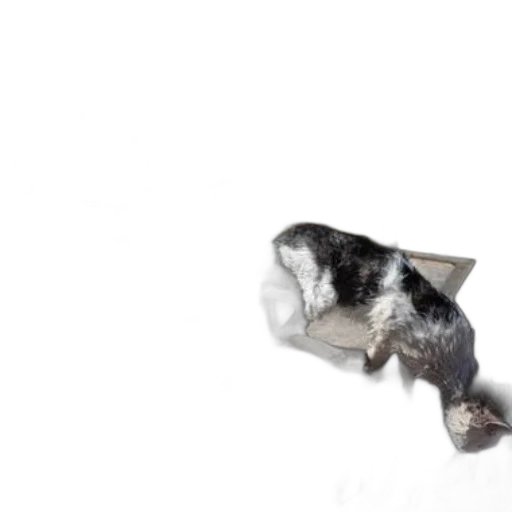 animal, hat, furniture, shoes, 3d render, photorealistic, concept art, outer space transparent PNG cut-out