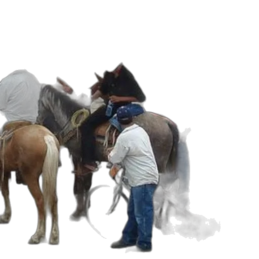 hat, staff, animal, photorealistic transparent PNG cut-out