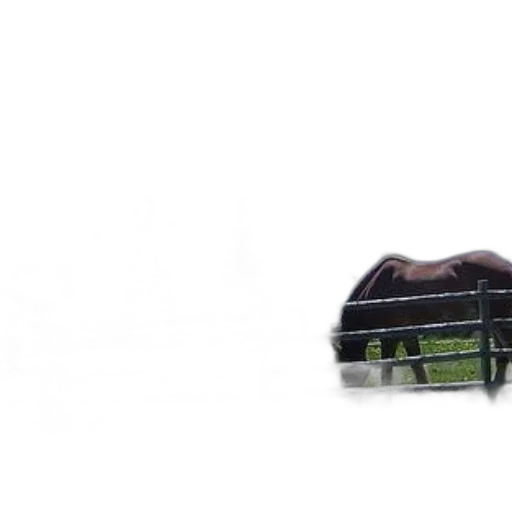 animal, hat, shoes, crown, photorealistic, 3d render, concept art, horse transparent PNG cut-out