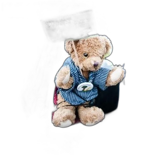 jacket, photorealistic, teddy, bear, sign, head, carried, backpack transparent PNG cut-out