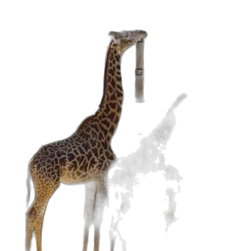 animal, creature, staff, dragon, 3d render, concept art, photorealistic, fantasy art transparent PNG cut-out