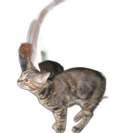staff, animal, hat, creature, photorealistic, concept art, 3d render, fantasy art transparent PNG cut-out