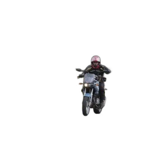 animal, 3d render, pixel art, concept art, photorealistic, person, wearing, helmet transparent PNG cut-out