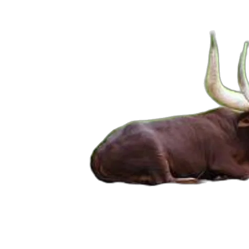 animal, creature, crown, furniture, 3d render, photorealistic, concept art, fantasy art transparent PNG cut-out