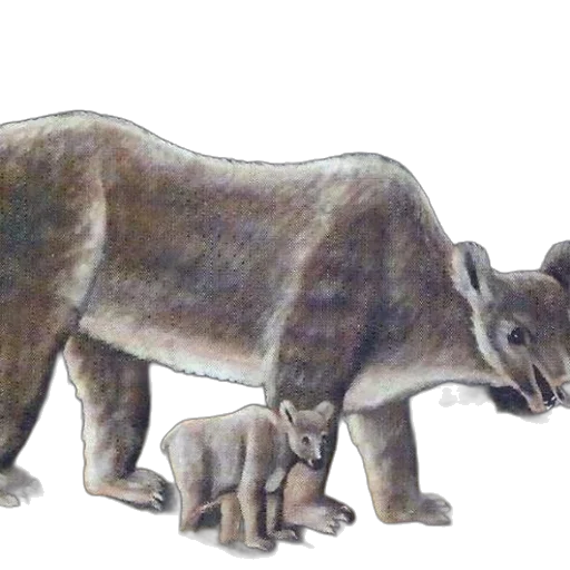 animal, creature, staff, concept art, watercolor, pencil sketch, photorealistic, forest transparent PNG cut-out