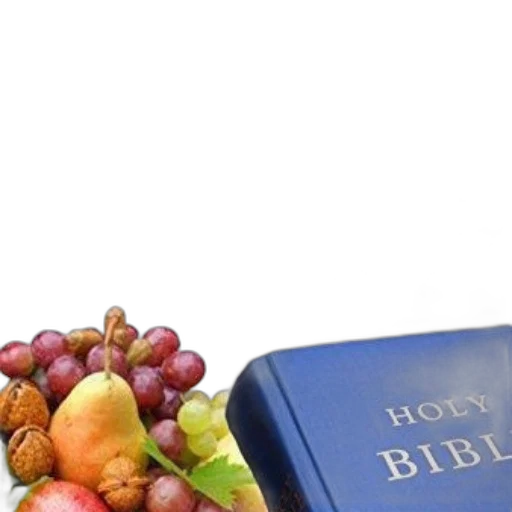 food, book, cover, titled, god, health, what, does transparent PNG cut-out